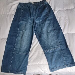 Pilcro Izzy Relaxed pull on barrel jeans Anthropologie denim size Medium